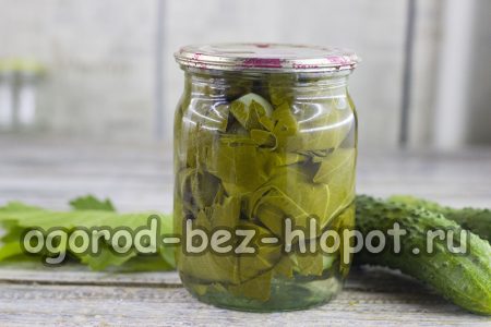 살균된 뚜껑이 달린 병을 말아서 뒤집은 다음 액체가 새는지 확인합니다.