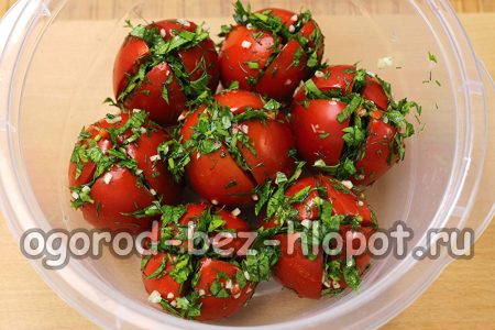 토마토에 향신료 혼합물을 채우세요