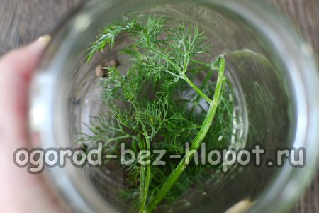 딜과 올스파이스를 살균하고 건조한 병에 담습니다.