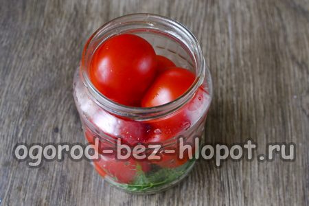 토마토를 병에 담다