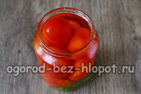 토마토 위에 물을 붓다