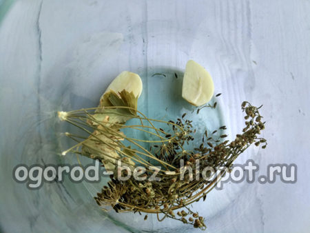 병 바닥에 마늘을 넣으세요