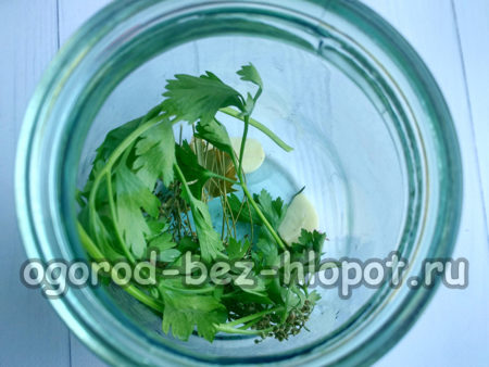 파슬리 한 가지