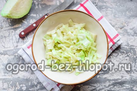 잘게 썬 양배추