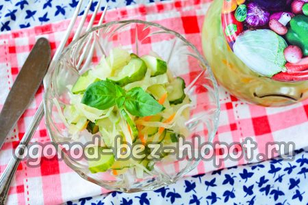 겨울철을 위한 양배추 샐러드