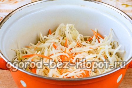 양배추를 잘게 썬다