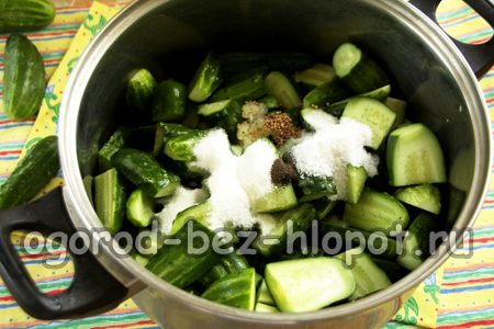 오이에 소금을 뿌리다