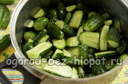 우리는 냄비에 넣어 고집한다