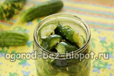 우리는 항아리를 채운다