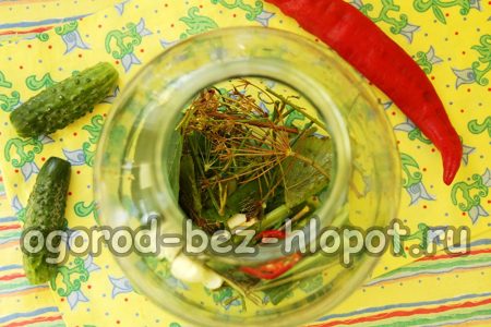 병에 담긴 허브와 향신료