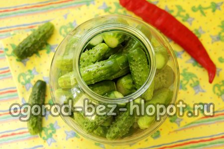 항아리에 오이를 채우다