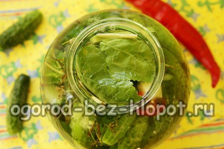 소금물을 채우다