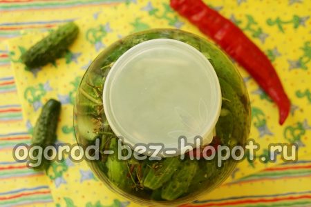 나일론 뚜껑으로 닫으세요