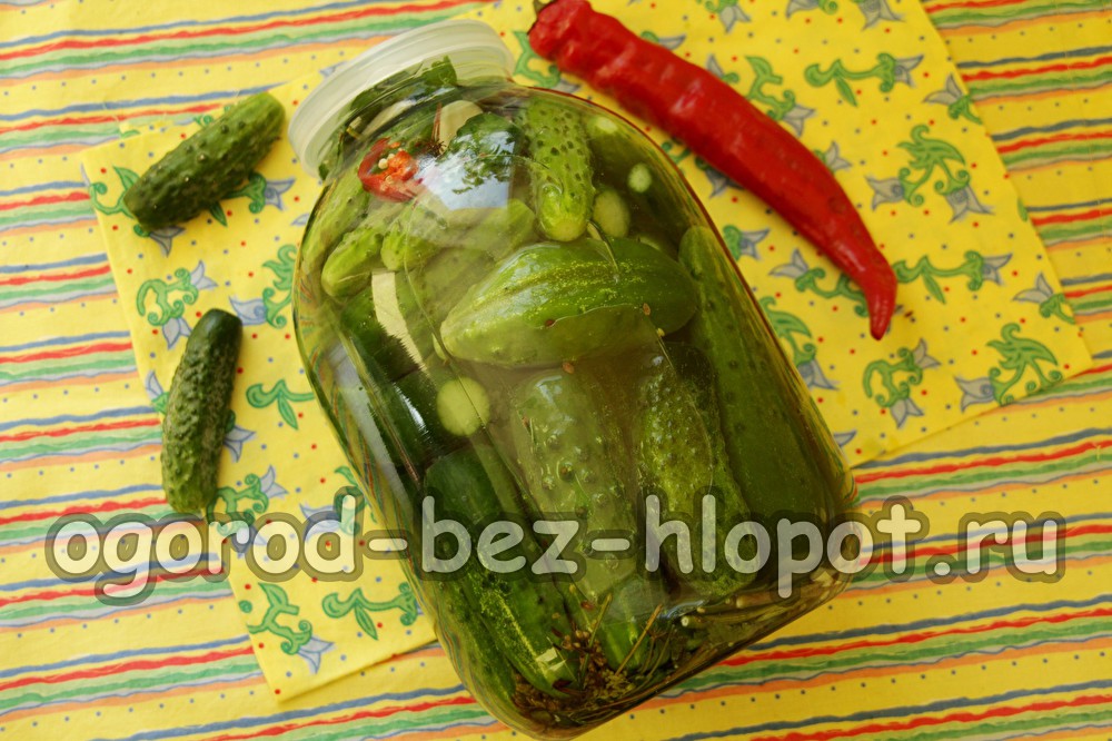 겨울철 절인 오이