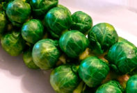 브뤼셀 양배추 소르타