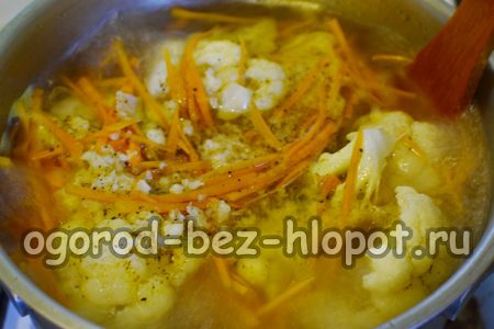 양배추와 당근을 재워두다