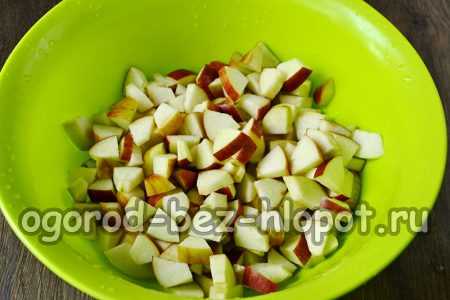 핵심을 잘라내고 작은 조각으로 자른다