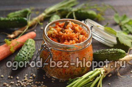 신선한 오이와 진주보리로 만든 겨울 라솔닉 드레싱