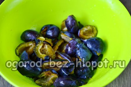 씨앗을 제거하다