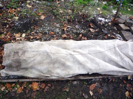 겨울을 위한 커버