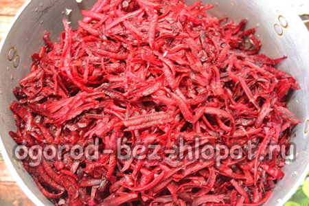 야채에 비트를 추가하다