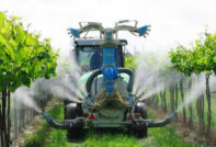 포도에 무엇을 언제 살포해야 하나요?