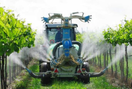 포도에 무엇을 언제 살포해야 하나요?
