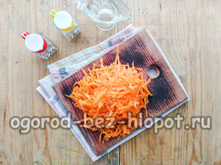 당근을 갈아주세요