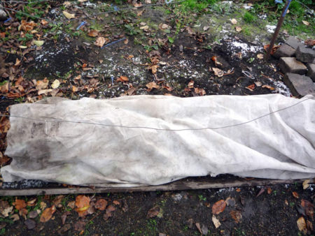 겨울을 위한 대피소