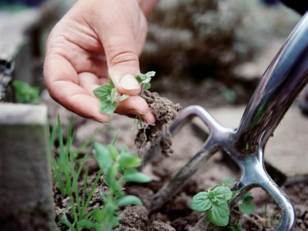 갈퀴로 땅을 파다