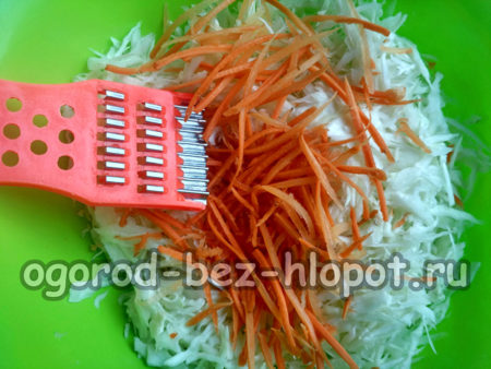 당근을 추가하세요