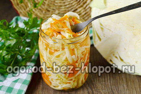 아스피린을 곁들인 양배추