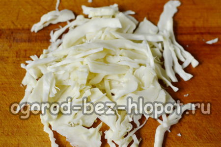 양배추를 잘게 썬다