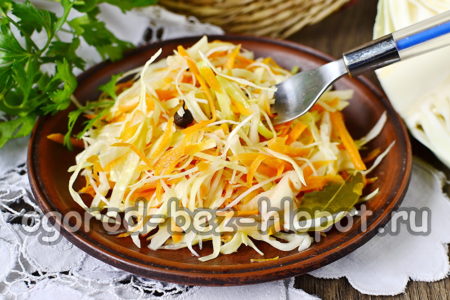 향신료를 곁들인 자우어크라우트