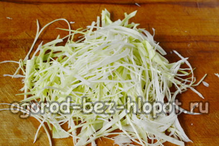 양배추를 잘게 썬다