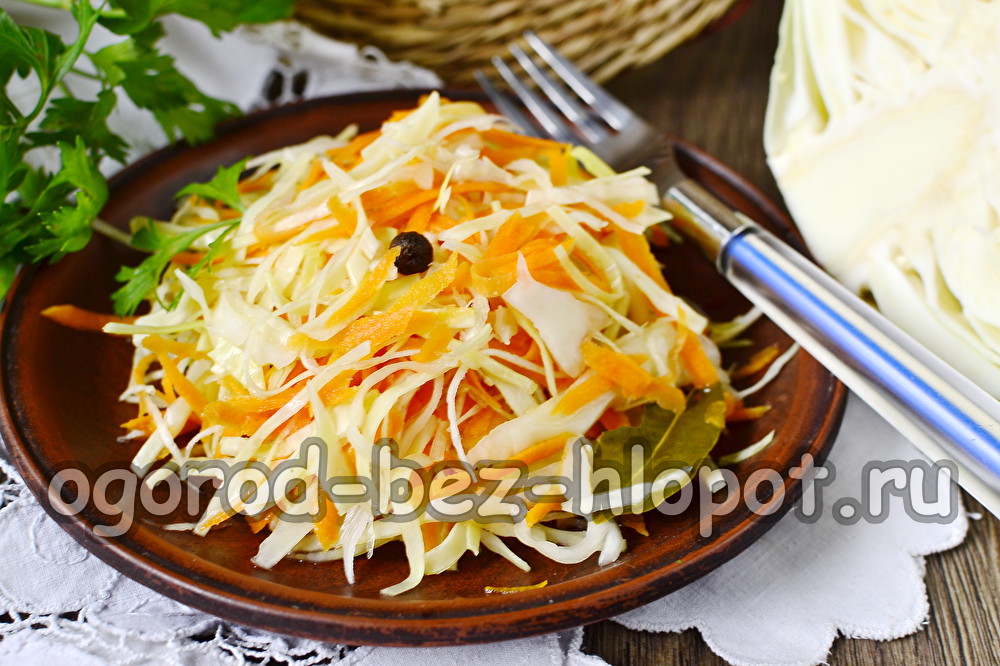 향신료를 곁들인 빨리 조리되는 자우어크라우트