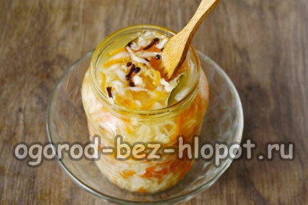 양배추에 구멍을 뚫다