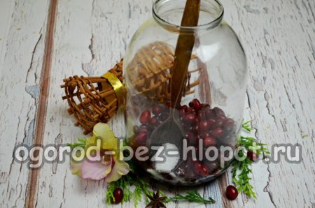 병 속의 산딸나무