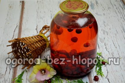 산딸나무 설탕에 절인 과일