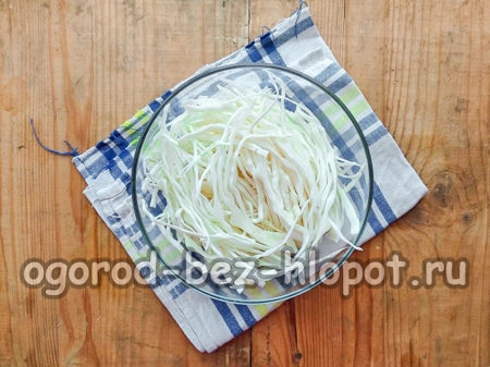 양배추를 잘게 썬다