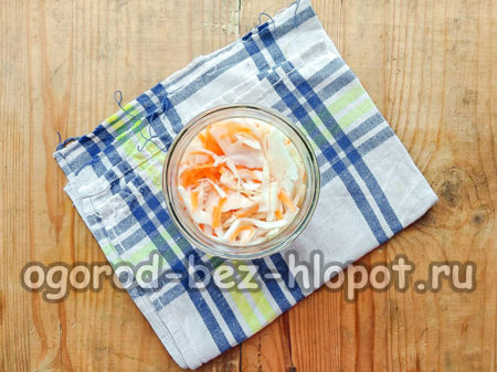 병에 담긴 양배추