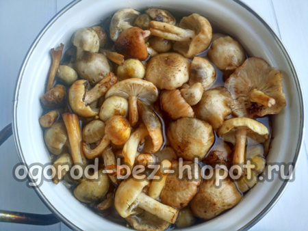 버섯을 담가두다