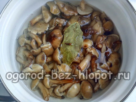 월계수 잎과 정향을 첨가합니다