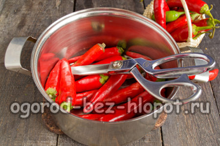 줄기를 잘라내다