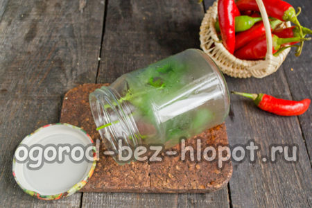 우리는 녹색 채소를 병에 담았습니다