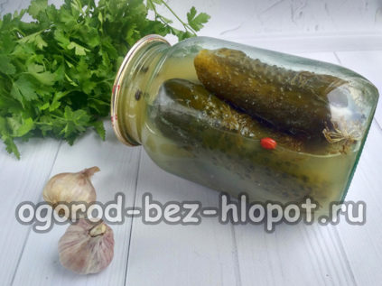 병에 담긴 절인 오이