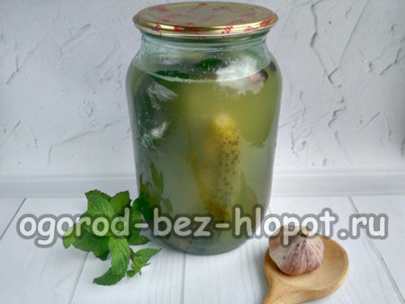 오이는 통오이와 같다