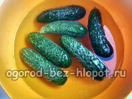 오이를 담가두다