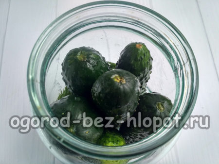 오이를 항아리에 담다