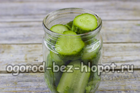 오이를 병에 담다